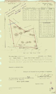 Scan of Surveyor-General diagram, A4049/1924, November 1924