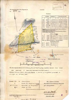 Scan of Surveyor-General diagram, 4275/1921, December 1921