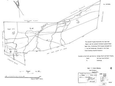 Scan of Surveyor-General diagram, 357/1833, August 1833