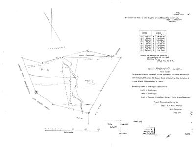 Scan of Surveyor-General diagram, 1978/1875 (877/1875 struck), July 1874