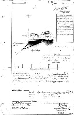 Scan of Surveyor-General diagram, 3965/1938, August 1922
