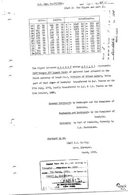 Scan of Surveyor-General diagram, 88/1900 (part 2), March 1899