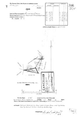 Scan of Surveyor-General diagram, 320/1874, 1874