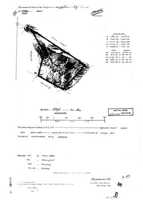 Scan of Surveyor-General diagram, 2920, January 1911