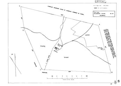 Scan of Surveyor-General diagram, 341/1832, 1832