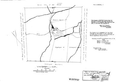 Scan of Surveyor-General diagram, B195/1821, 1821