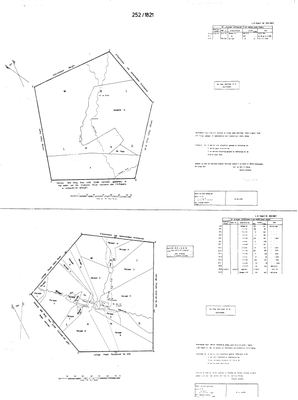 Scan of Surveyor-General diagram, 252/1821, 1821