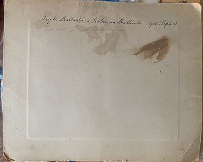 The back of the Malherbe card, MED-000039. Written across the top in ink: “Isak Malherbe & Katriena Malherbe (geb....