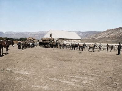 Two wagons loaded high with wool bales standing in front of the long stone shearing shed at Drooge Kloof, with a...